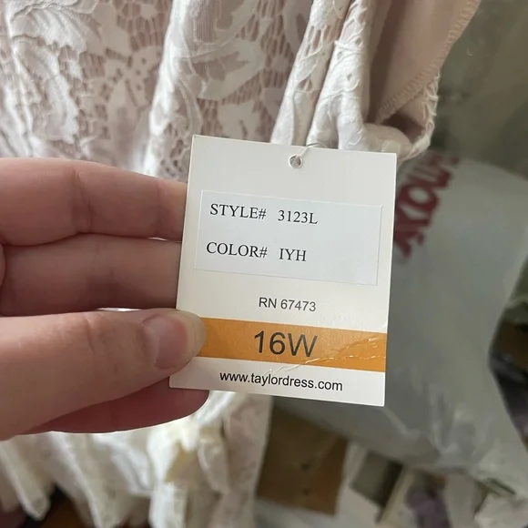 Ivory & Nude Lace High-Low Dress - Picture 4 of 7